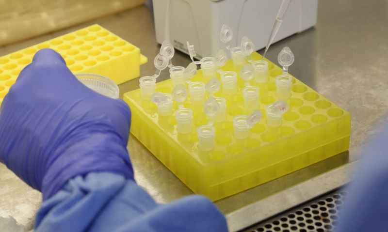 Vacina própria da Fiocruz pode ter testes clínicos em 2021