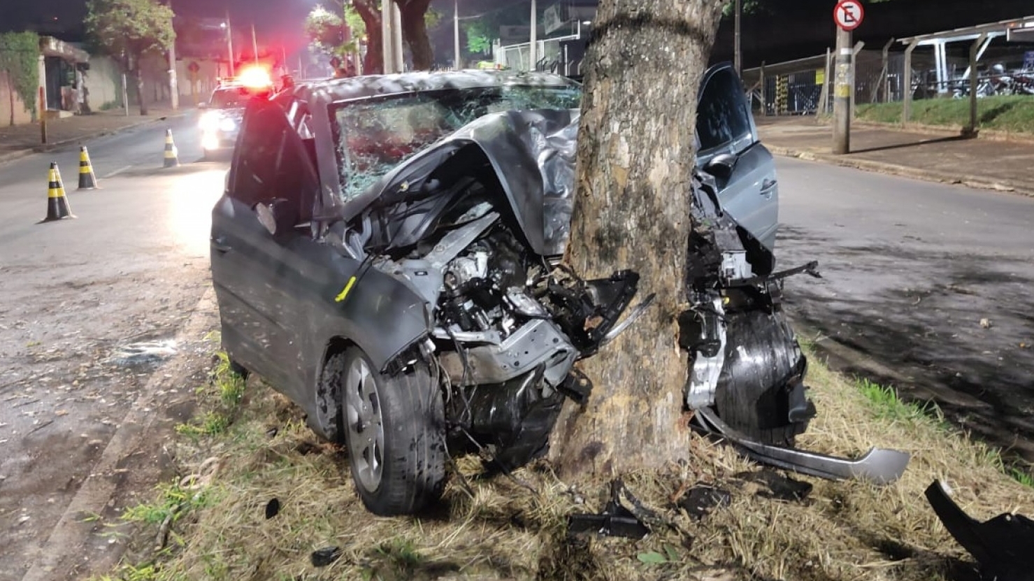 Carro colide em árvore e motorista perde a vida