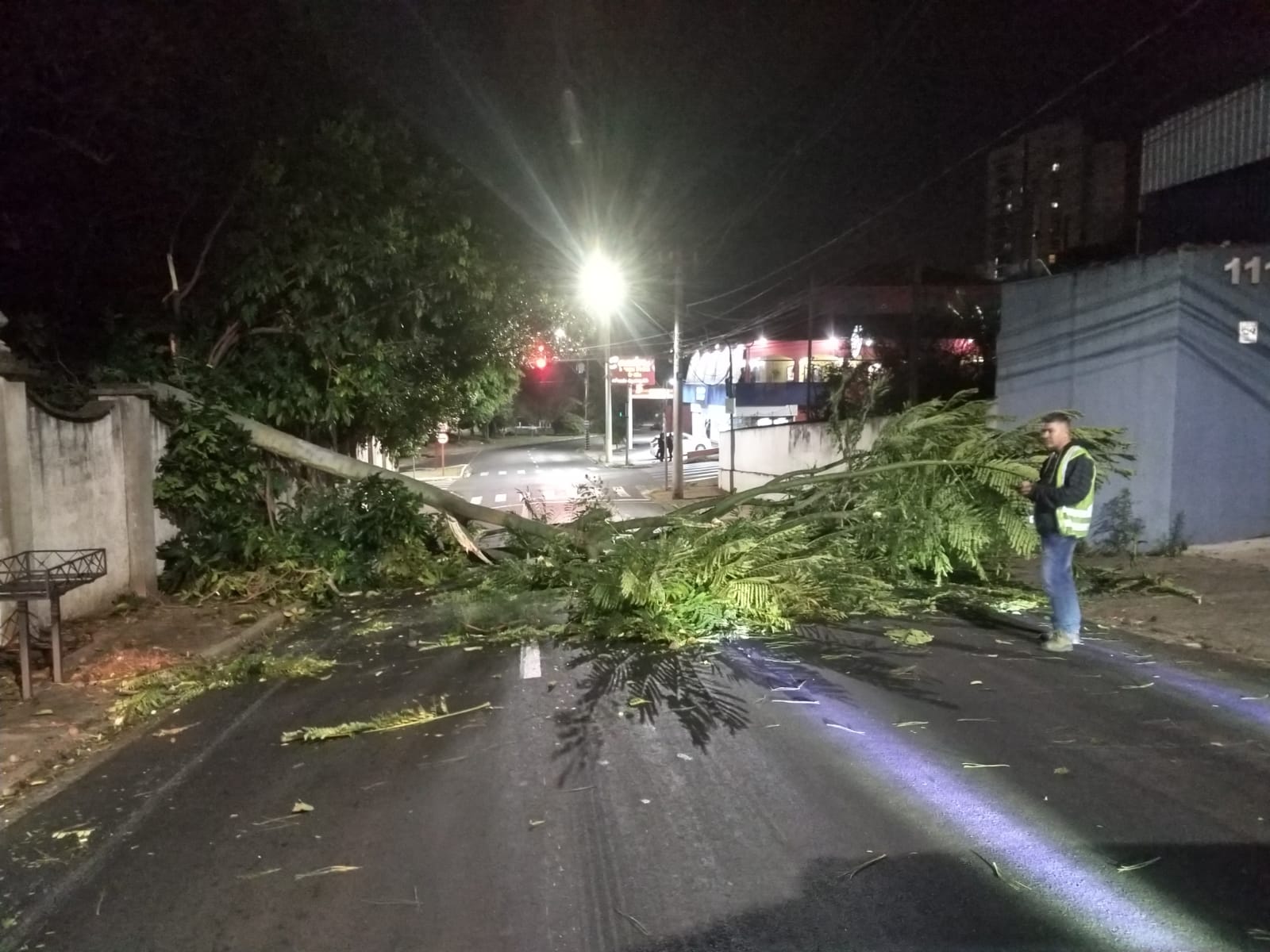 Ventania derruba árvore e paralisa trânsito na Rua Giácomo Casale